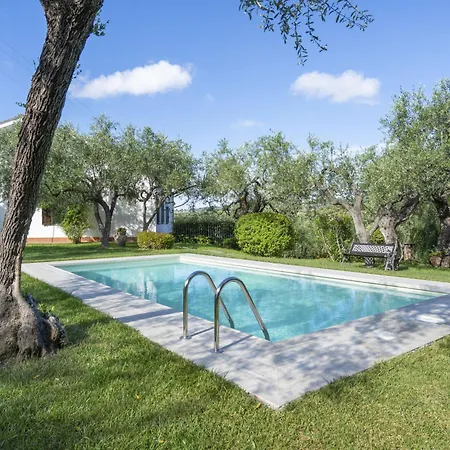 Alberto B By Interhome *